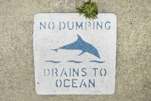 no-dumping